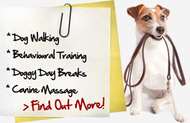 Find Out More